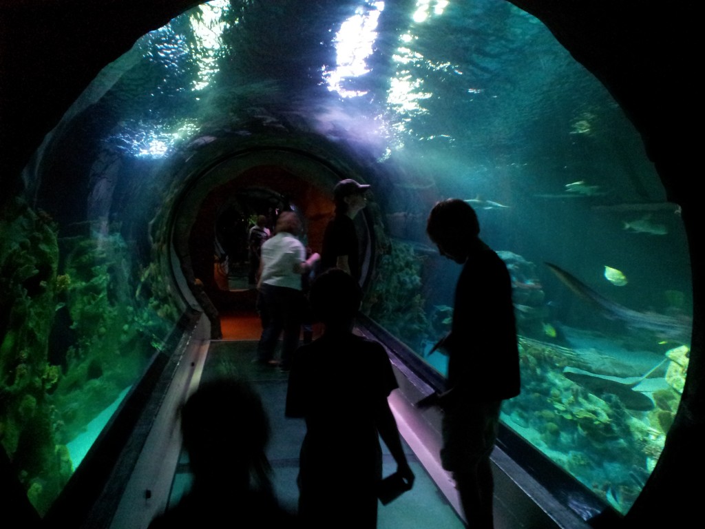 aquariumtunnel